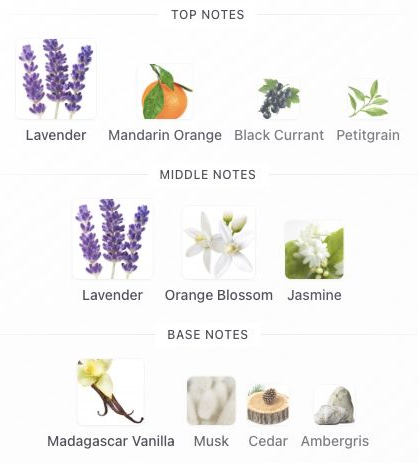 Fragrance notes: Libre Eau de Parfum — original Fragrantica notes with blank margins trimmed.