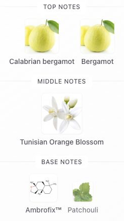 Fragrance notes: MYSLF Eau de Parfum — original Fragrantica notes with blank margins trimmed.