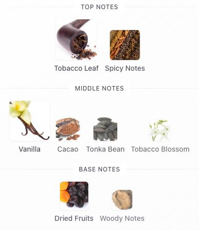 Fragrance notes: Tobacco Vanille Eau de Parfum — original Fragrantica notes with blank margins trimmed.