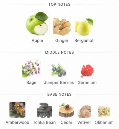 Fragrance notes: Y Eau de Parfum — original Fragrantica notes with blank margins trimmed.